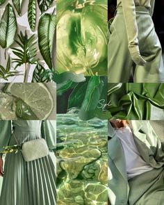 a collage of green and white images with leaves, flowers, and other things