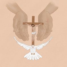 two hands holding a cross over a white dove