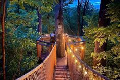 a suspension bridge in the middle of a forest with lights strung from it's sides