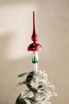 a red mushroom sitting on top of a white tree