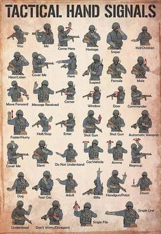 Veteran Tactical Hand Signals Vintage MH1009 Tactical Hand Signals, Names That Mean Water, Tactical Gear Room, Nato Alphabet, Police Code, Wojskowy Humor, Ako Kresliť, ملصق بحث, Hand Signs