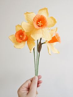 a hand is holding some yellow and orange flowers