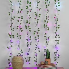 a table topped with a potted plant next to a wall covered in purple lights