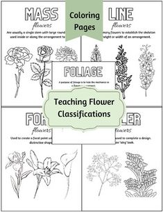 coloring pages for teaching flower class with flowers and plants in them, including the name's