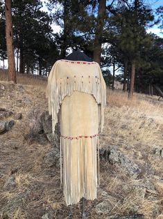 Buckskin-deerskin Native American Dress Plains Indian - Etsy Czech Republic Buckskin Dress, Native American Dress, Plains Indians, American Dress, American Bison, Indian Tribes, Native Style, Native American Tribes, American Clothing