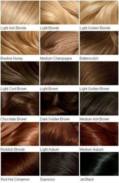 Clairol Hair Color Chart, Digital Lookbook, Hair Palette, Clairol Hair Color, Ash Hair Color, Hair Color Chart, Caramel Hair, Beautiful Hair Color, Hair Color Shades