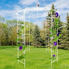 a white metal trellis with purple flowers growing on it's sides in the grass