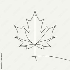 a line drawing of a maple leaf