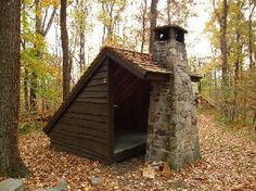 an outhouse in the woods with leaves on the ground