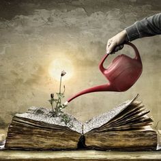 an open book with a watering can pouring water on top of it and the caption reads, no amr