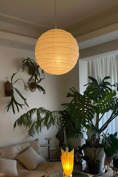 a living room filled with lots of plants next to a wall mounted light hanging from the ceiling