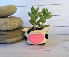 a cow planter sitting next to two rocks and a small potted plant on top of it