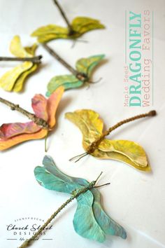 four different colored leaves are arranged on a white tablecloth with the words dragonfly written above them