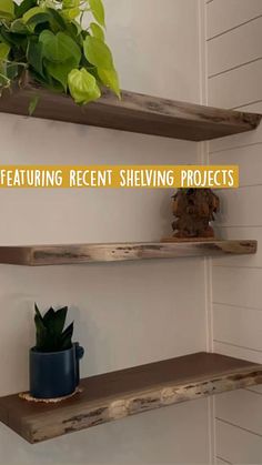 two wooden shelves with plants on them in the corner and one has a potted plant