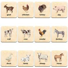 a set of wooden puzzles with farm animals and words on them, including chickens, turkey, rooster, goat, chicken, pig, cow, sheep