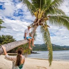 two people are sitting on a palm tree and one person is standing on the beach