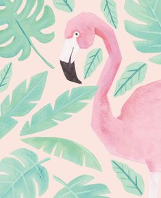 a pink flamingo standing in front of some green leaves and palm fronds