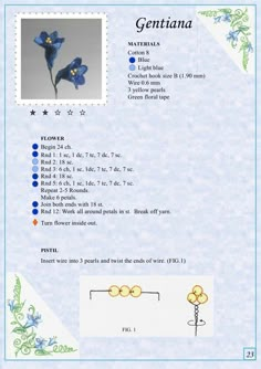 a blue flower is shown in the form of a sheet with instructions on how to make it