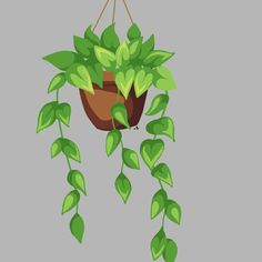 a potted plant hanging from a rope with green leaves