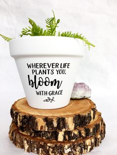 there is a plant in the pot that says, wherever you bloom with grace