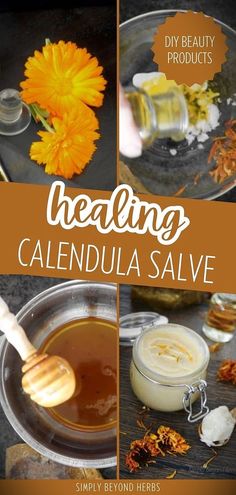 Experience the benefits of healing calendula salve, a standout in DIY beauty & homemade beauty products. Made with calendula infused oil, raw honey, beeswax, and shea butter, this salve is a wonderful natural remedy for various skin issues. It's a valuable addition to any homemade skin care collection, offering healing and nourishing properties. Explore more about natural remedies, herb recipes, and DIY skin care at simplybeyondherbs.com Salve Recipes, Natural Healing Remedies, Herbal Healing, Herbs For Health, Homemade Remedies, Healing Herbs