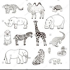 black and white zoo animals stock photo edit now for free coloring pages printables