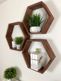 three wooden hexagonal shelves with plants and books in them on the wall next to a potted plant