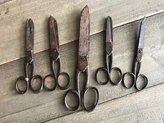 five pairs of old scissors are lined up on the floor