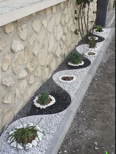 some rocks and plants are on the side of a building with white pebbles in it