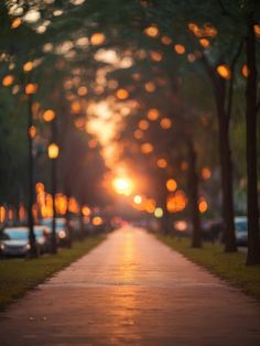 the sun is setting behind some trees and cars parked on the side of the road