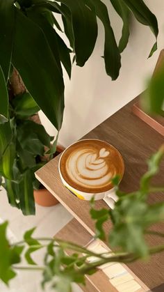 a cappuccino on a wooden table next to a potted green plant