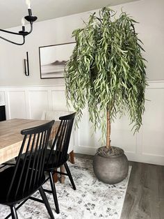 a potted plant sitting on top of a wooden table next to a black chair