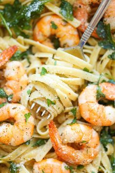 pasta with shrimp, spinach and parmesan cheese