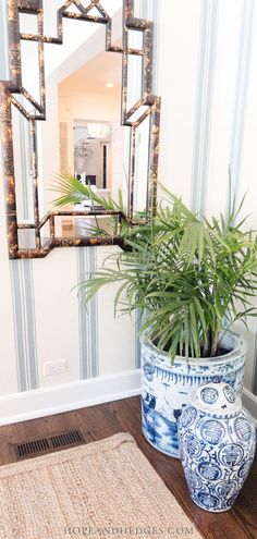 a potted plant sitting on top of a wooden floor next to a blue and white vase