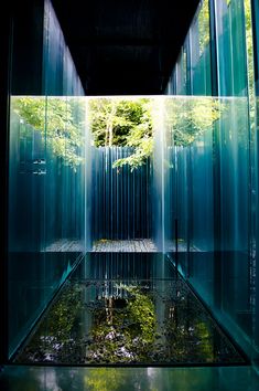 the inside of a building with glass walls and trees in the backgroung