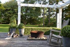 a dog laying on a wooden deck next to a potted planter and chair