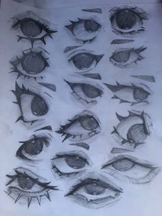 some drawings of different types of eyes and their features are drawn in pencil on paper