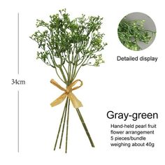 the diagram shows how to grow gray - green flowers in 3 inches tall, and what they are labeled with