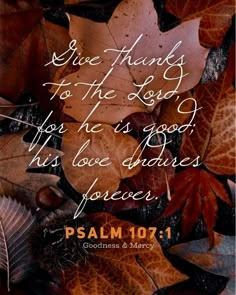 leaves with the words, give thanks to the lord for he is good his love delivers peace