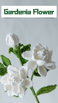 white crocheted flowers in a vase with the words gardenia flower on it