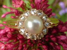 This 1900 ring is in yellow gold, set with a natural pearl and an entourage of 12 rose-cut diamonds (antique diamond cut). It was made around the year 1900, probably in France. The pearl is perfectly round and has remained very white, with no major wear. It is a genuine pearl. To find out if it is a fine or cultured pearl, it should be dismantled and sent to a specialized laboratory. The diamonds are very white and flawless. This ring is in very good condition. The entire setting has no flaws, the pearl has remained white despite its age. This ring will make a very beautiful engagement ring, elegant and delicate. It has the charm of the antiques and at the same time still current. Diameter of the pearl alone: 7.7 mm (3.04 in) Diameter of the pearl and its diamond entourage: 1 cm (0.48 in) Antique Yellow Gold Pearl Ring With Rose Cut Diamonds, Victorian Pearl Ring With Gold And Diamond, Victorian Yellow Gold Pearl Ring With Rose Cut Diamonds, Vintage Gold Pearl Ring With Rose Cut Diamonds, Classic Gold Pearl Ring With Rose Cut Diamonds, Heirloom Gold Pearl Ring With Rose Cut Diamonds, Formal Yellow Gold Pearl Ring With Rose Cut Diamonds, Antique Pearl Ring With Rose Cut Diamonds For Wedding, Heirloom Pearl Ring With Rose Cut Diamonds For Anniversary