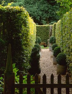 a wooden gate in the middle of a garden with hedges on either side and trees lining both sides