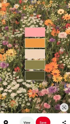 an image of flowers that are in the grass with color swatches on them,