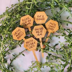 five wooden spoons with words written on them sitting next to some green plants and leaves