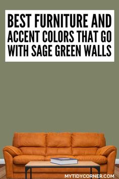 Burnt orange couch, sage green background and text overlay and the best furniture and accent colors that go with sage green walls. Sage Green Accent Wall Office, Sage Green Dining Room Walls, Green Wall Accent, Green Accent Wall Office, Blue Leather Couch, Accent Wall Paint Colors, Furniture Colors, Sage Green Wall, Light Blue Walls