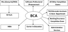 the bca flow diagram for an organization's workflow is shown in black and white