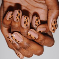 24 Short Nail Ideas for Fall, From Animal Print to Moody Crescents Animal Print Nails French Tip, Neutral Cheetah Nails, Short Nail Ideas For Fall, Fall Leopard Nails, Nail Ideas For Fall, Short Nail Ideas, Cheetah Nail Designs, Nutrition And Mental Health, Glitter Shorts