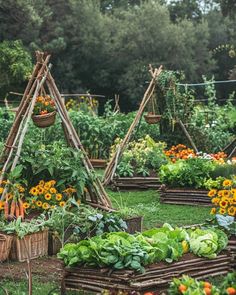 a garden with lots of vegetables and plants growing in the ground next to each other