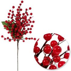 a red berry bush with berries on it and a round mirror in the background,