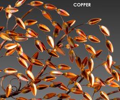 an image of copper colored leaves on a tree branch with the words copper written above it